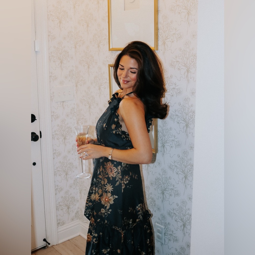 Marie Oliver Keenan Dress NWT - Picture 4 of 5